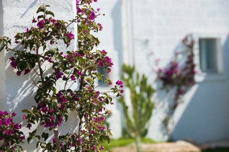Bed & Breakfast Masseria San Francesco