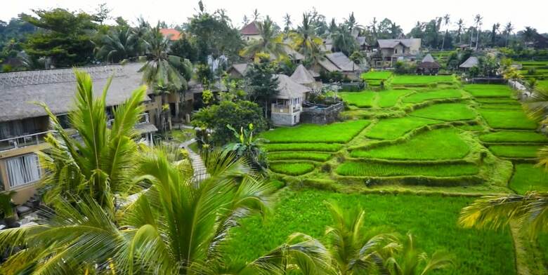 Hotel Wapa Di Ume Ubud