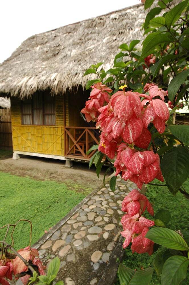 Posada Yarina Eco Lodge