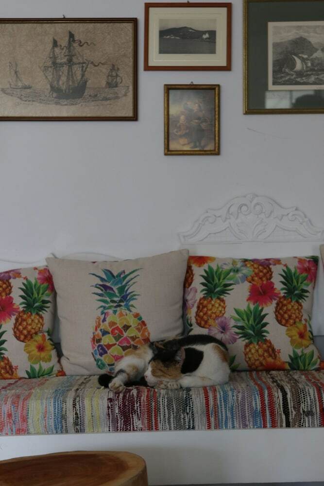 Armadoros Hotel / Ios Backpackers
