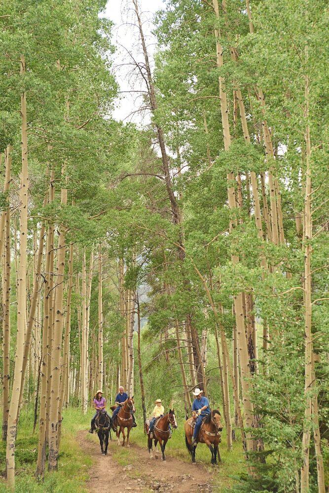 Forest Condominiums By Keystone Resort