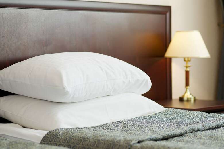 Hotel Salut