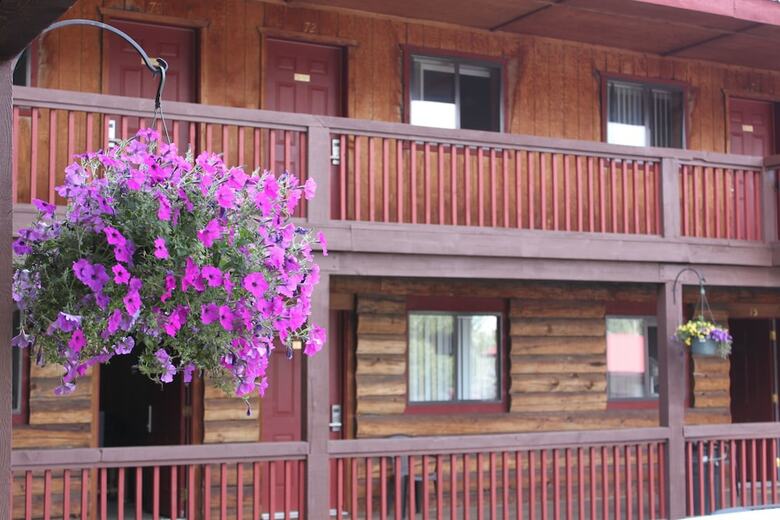 Hotel The Rustic Inn