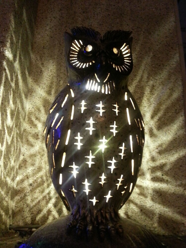 Hotel Owl Castle Bed And Breakfast