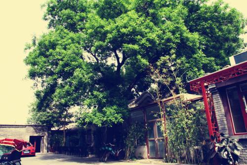 Hostel 66