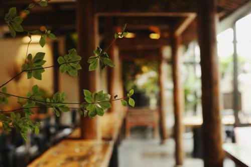Peking Yard Hostel