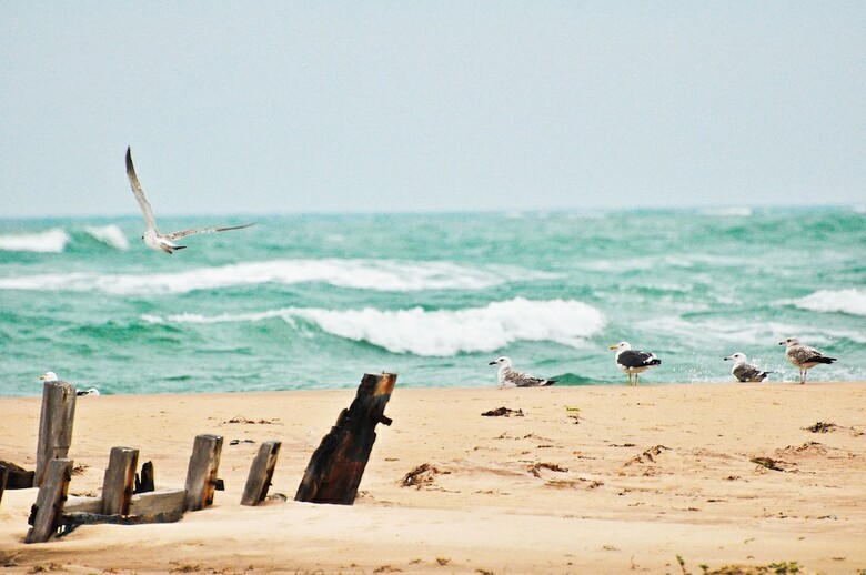Daiwik Hotels Rameswaram