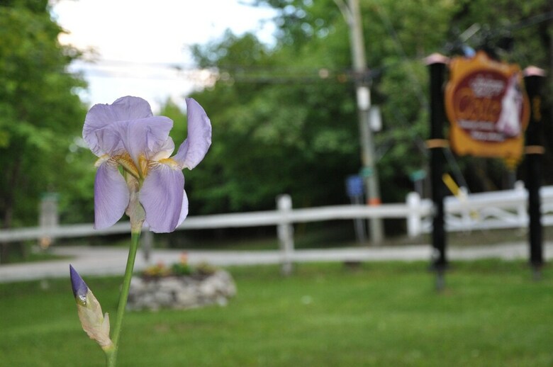 Bed & Breakfast Auberge Sur La C�te