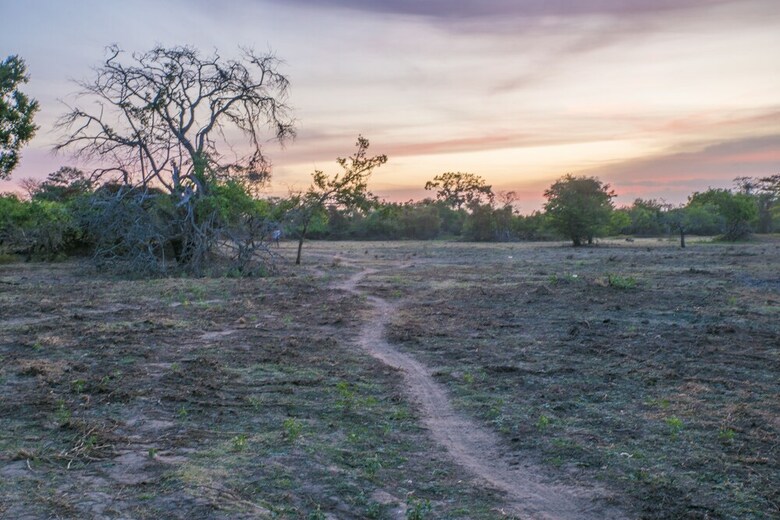 Elephant Lake Yala