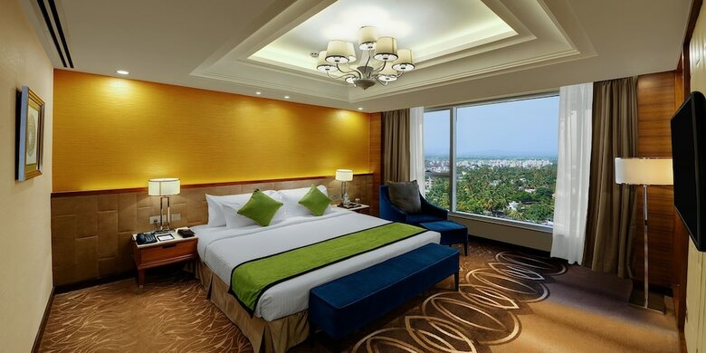 Sayaji Hotel
