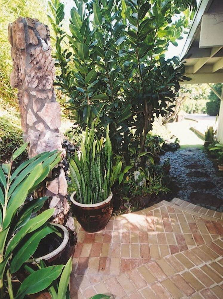 Hotel Hawaii's Hidden Hideaway Bed & Breakfast