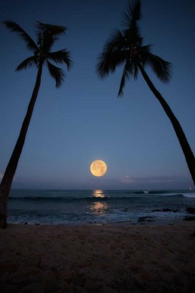 Hotel Hawaii's Hidden Hideaway Bed & Breakfast