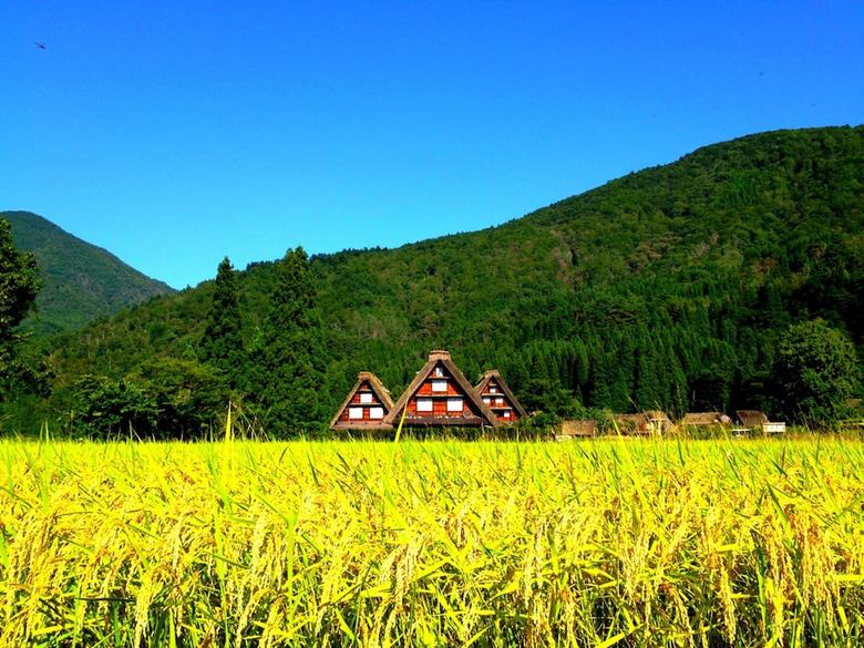 Hostal Shirakawago Terrace