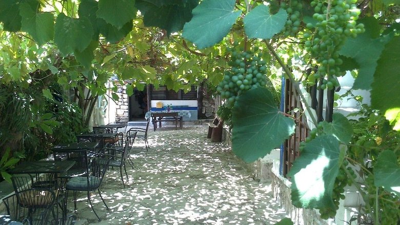 Posada Amor Hotel Boutique