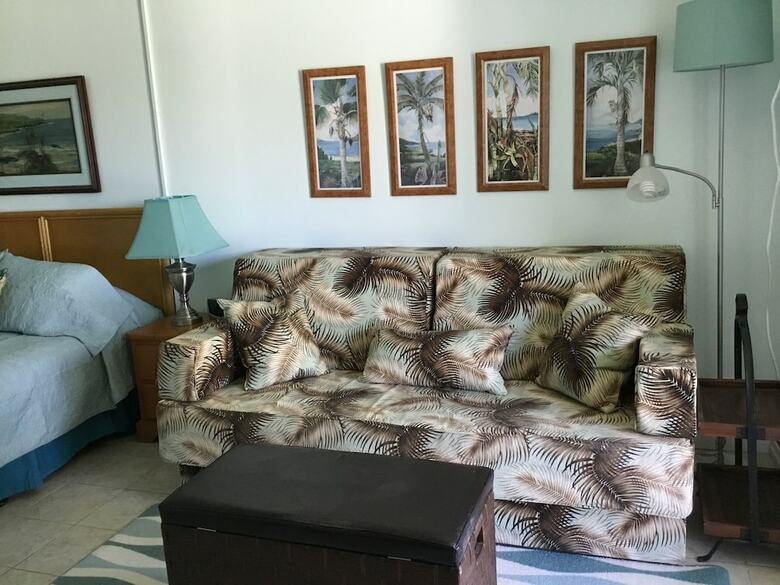 Vacation Condos In Kona