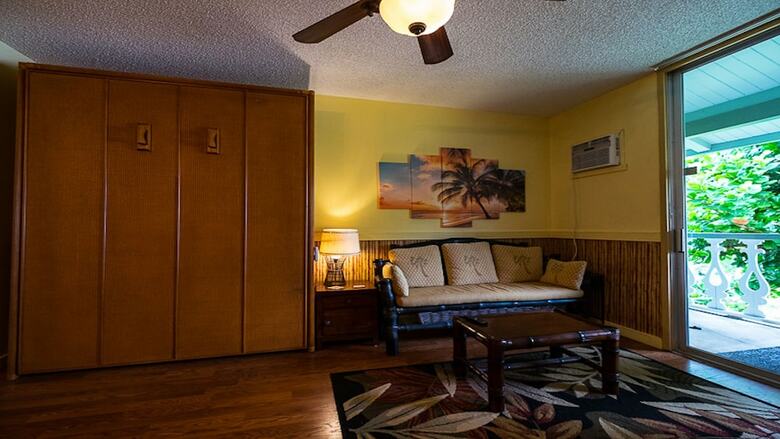 Vacation Condos In Kona