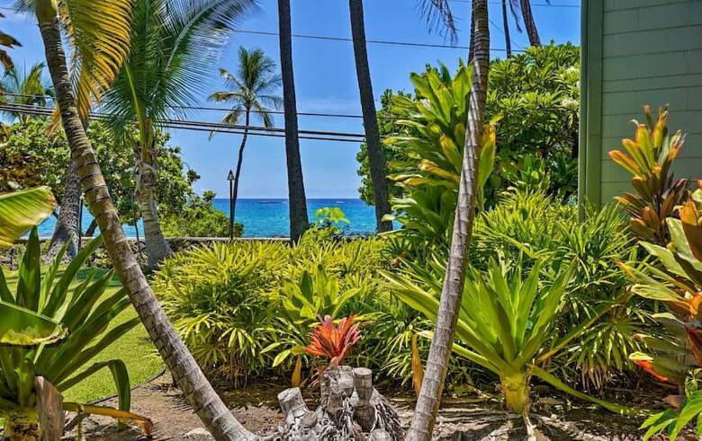 Vacation Condos In Kona