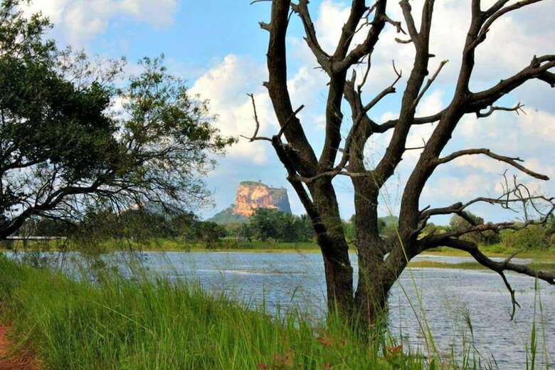 Hotel Rho Sigiriya Lake Edge Retreat