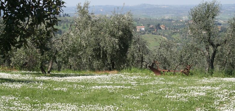 Agroturismo Rigone In Chianti