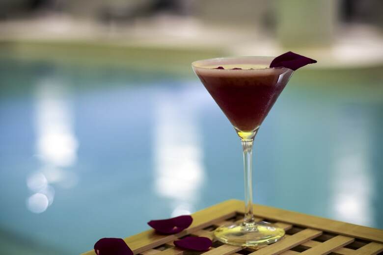 Hotel Pullman Paris Roissy Cdg Airport