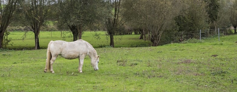 Bed & Breakfast La Ferme Ch�teau de Laneffe