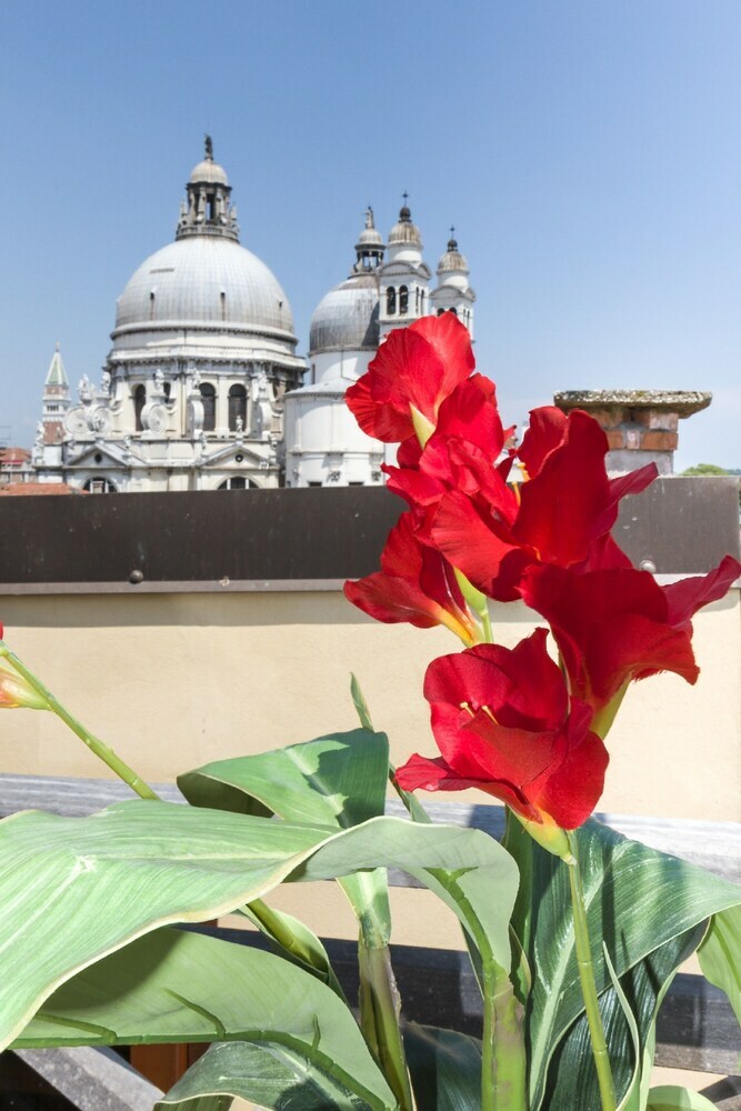 Accademia Charm Apartments