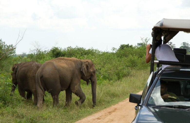 Big Game Camp Udawalawe