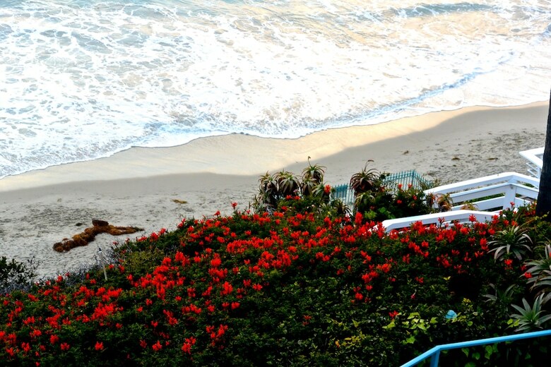 Hotel Laguna Riviera