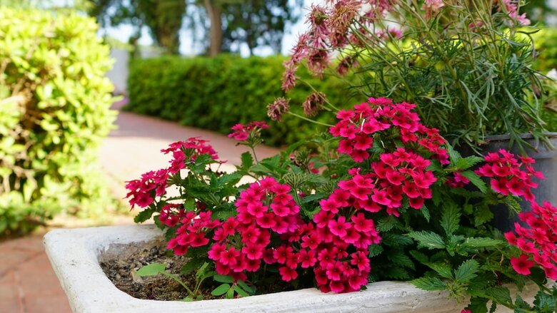 Irem Garden Hotel & Apartments