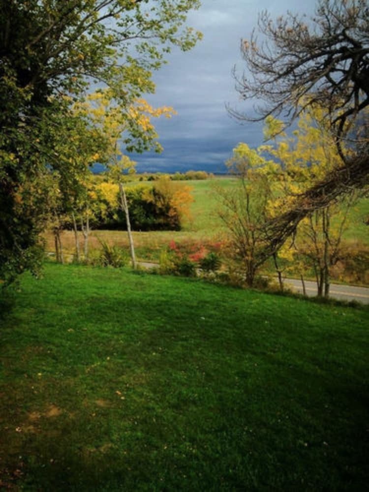 Bed & Breakfast Netherfield Natural Farm