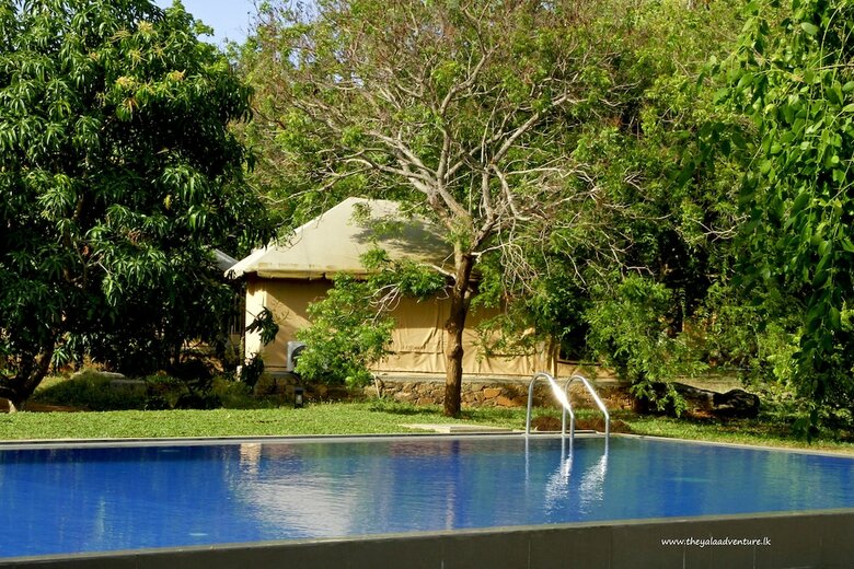 Hotel The Yala Adventure