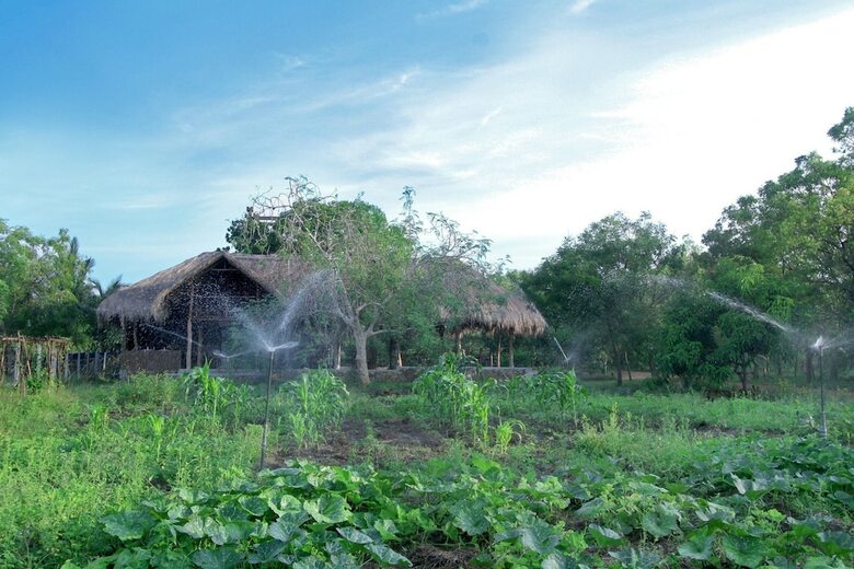 Hotel The Yala Adventure
