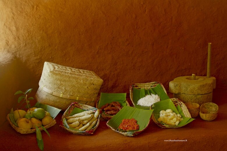 Hotel The Yala Adventure