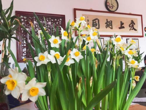 Hostal Hu Tong Impressions Beijing Guesthouse