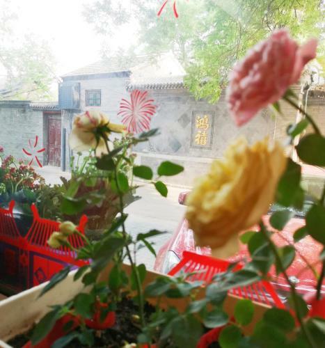 Hostal Hu Tong Impressions Beijing Guesthouse