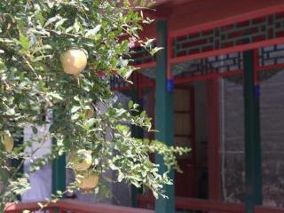 Hostal Beijing Jingyuan Courtyard Hotel