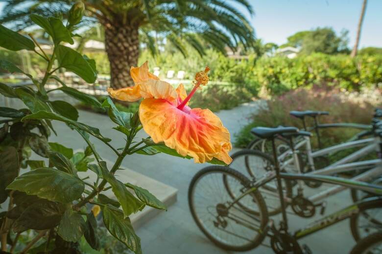 Arli Hotel Hideaway Punta Ala