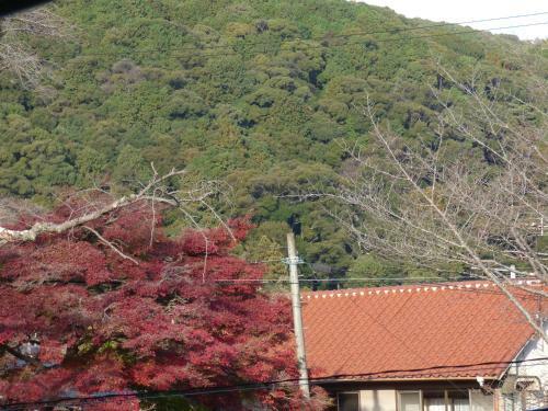 Apartamentos Saizen Matsumuro Stay