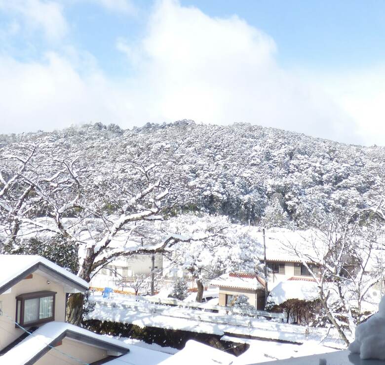 Apartamentos Saizen Matsumuro Stay