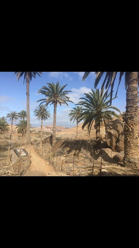 Apartamentos Fuerteventura