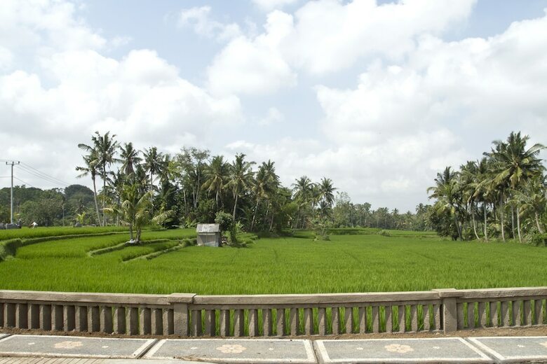 Apartamento Inata Bisma Hotel Ubud