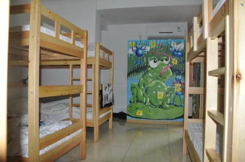 Three Legged Frog Hostel