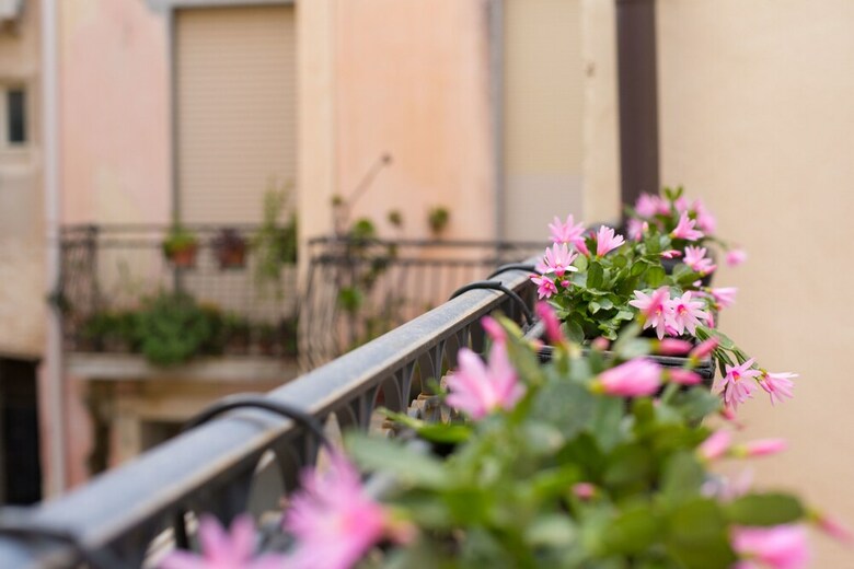 Bed & Breakfast Dimore Delle Zagare Ortigia