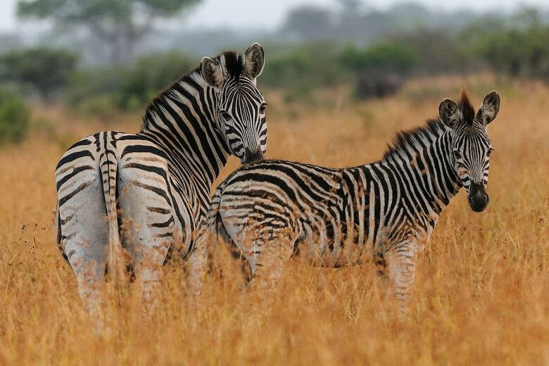 Waterberg Game Park