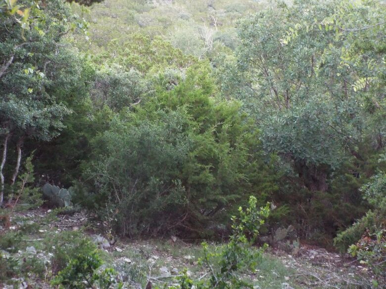 Hotel Trail?s End Hill Country Cabins