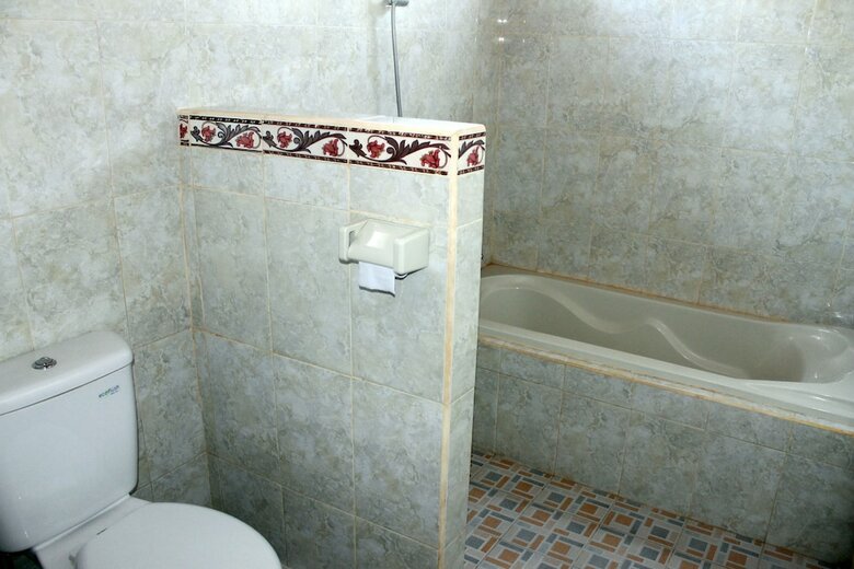 Posada Swan Inn