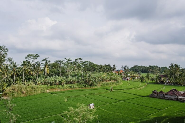 Hotel Om Ham Retreat And Resort