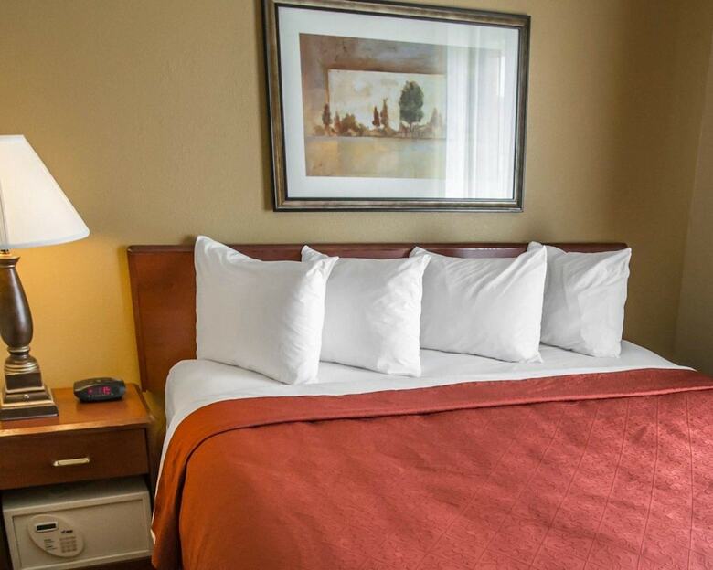 Hotel Quality Inn & Suites South