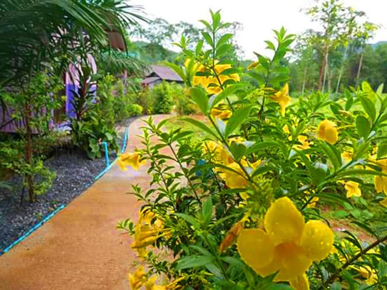 Hotel Bangnu River Resort
