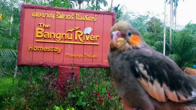 Hotel Bangnu River Resort